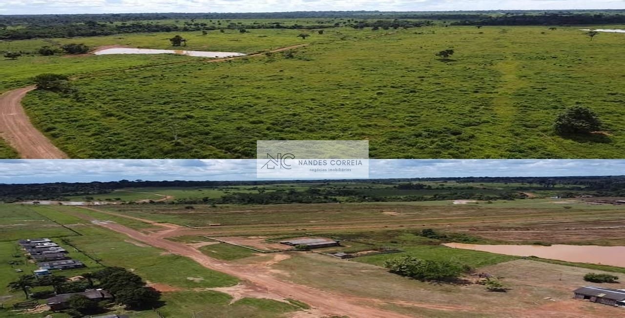 Fazenda-Sítio-Chácara, 13006 hectares - Foto 2
