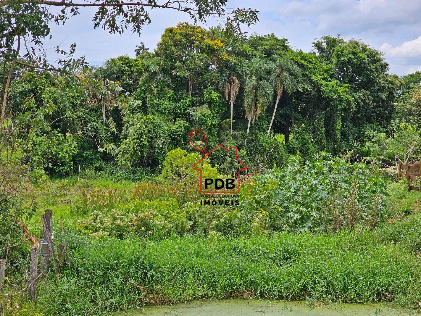 Sítio, 6 quartos, 2 hectares - Foto 5