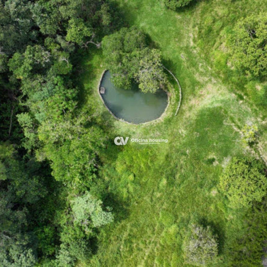 Haras e Área Rural Padrão à venda com 6 quartos, 110000M2 - Foto 10