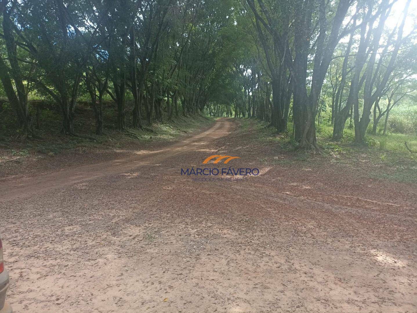 Fazenda à venda, 2904000M2 - Foto 13