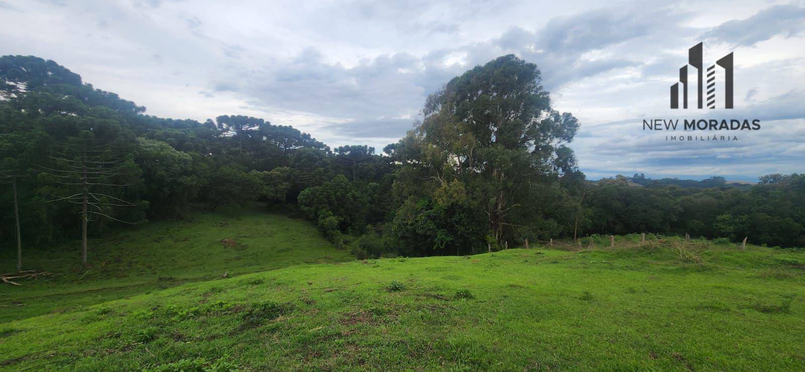 Terreno à venda, 15217M2 - Foto 6