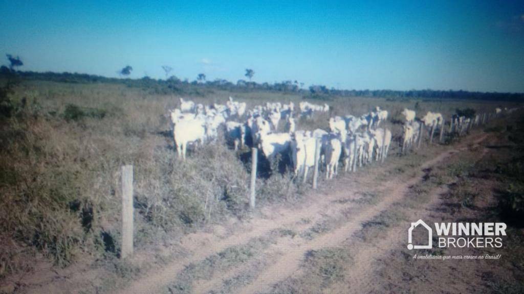 Fazenda à venda com 1 quarto, 20040000M2 - Foto 5