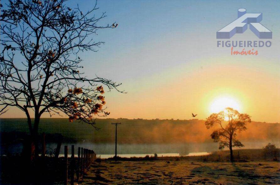 Sítio, 4 hectares - Foto 17