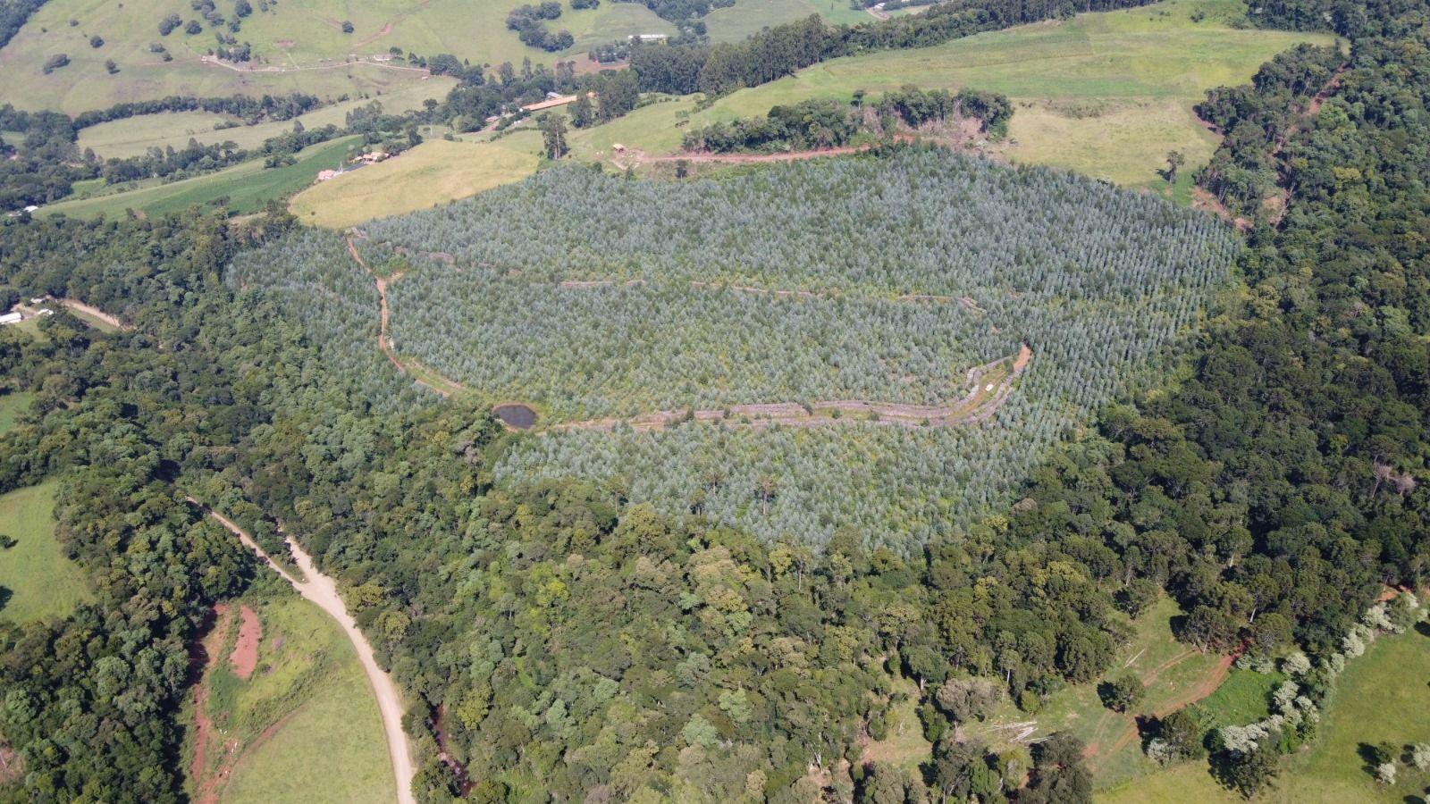 Terreno à venda, 170000m² - Foto 7