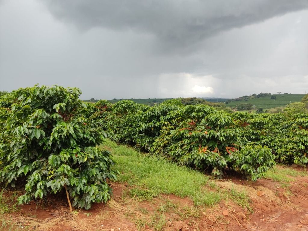 Fazenda à venda com 2 quartos, 3388000m² - Foto 10