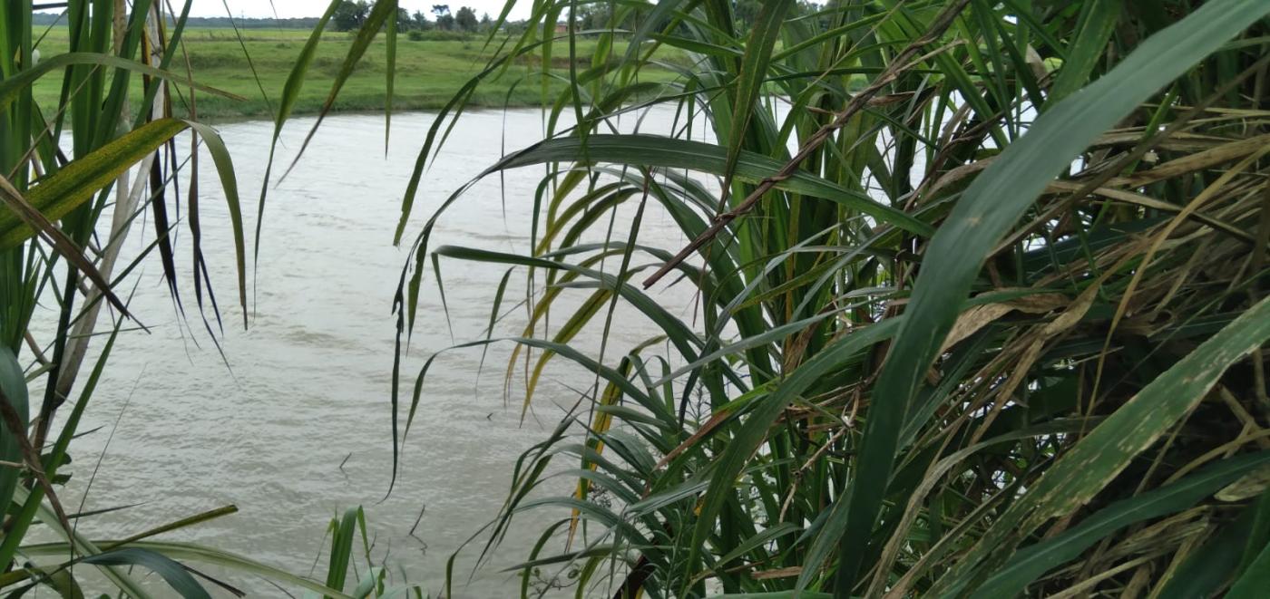 Chácara, 2 hectares - Foto 1