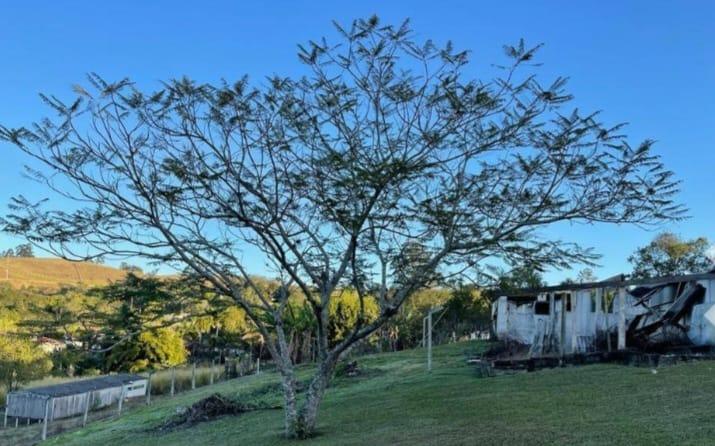 Fazenda à venda com 4 quartos, 15000m² - Foto 16