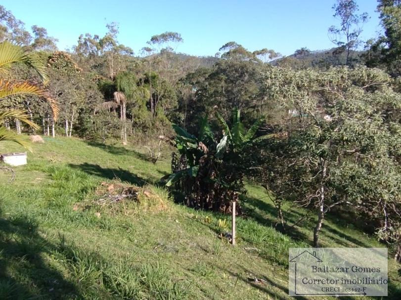 Fazenda à venda com 3 quartos, 1000m² - Foto 11