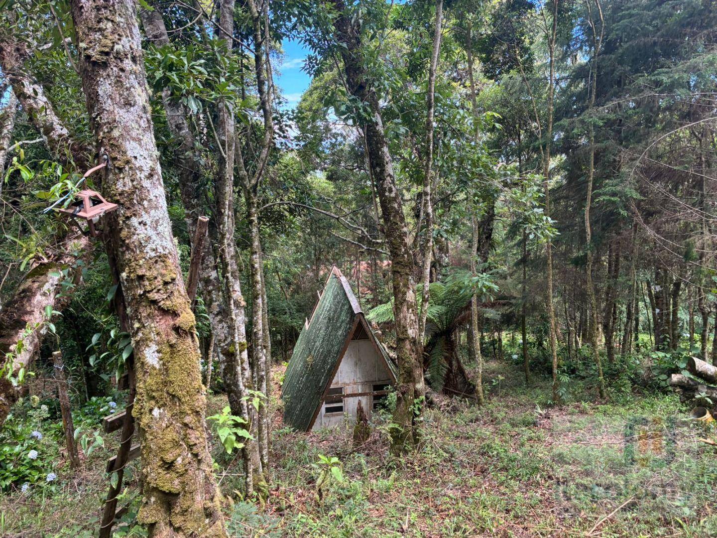 Terreno, 1195 m² - Foto 4