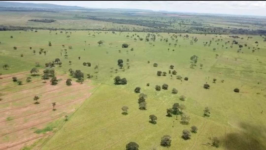 Fazenda-Sítio-Chácara, 726 hectares - Foto 2