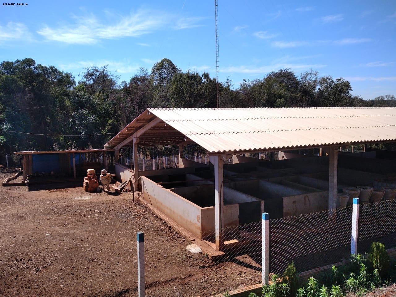 Fazenda para alugar com 3 quartos, 20000m² - Foto 36