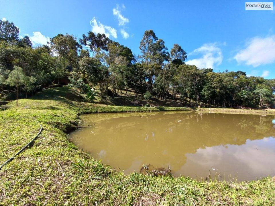 Fazenda à venda, 8000m² - Foto 7