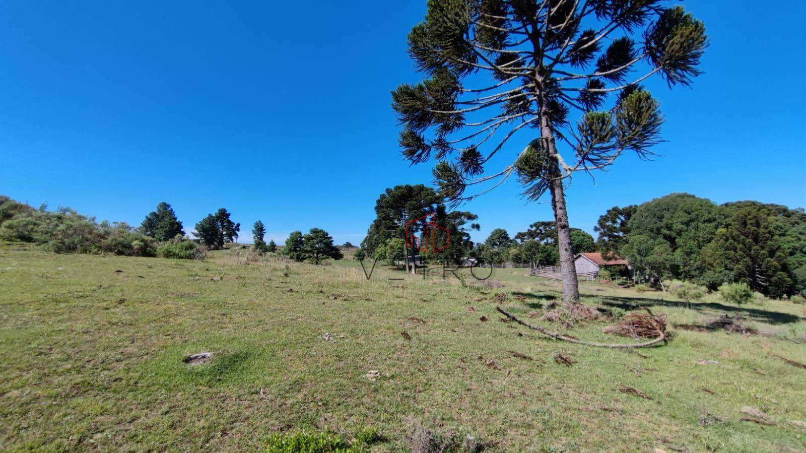 Sítio à venda com 3 quartos, 37000M2 - Foto 3
