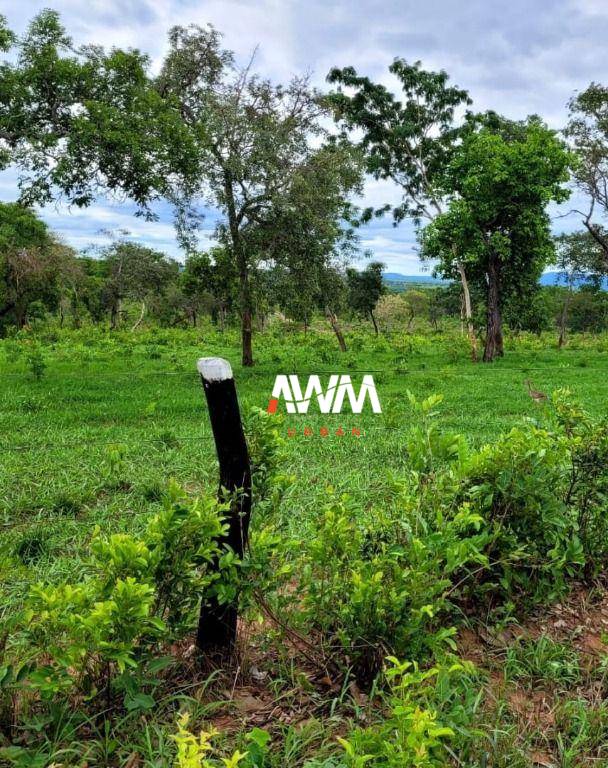 Fazenda, 813 hectares - Foto 5