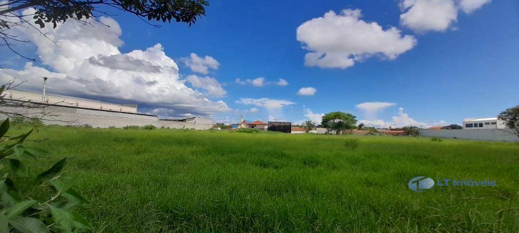 Terreno à venda e aluguel, 1390M2 - Foto 5