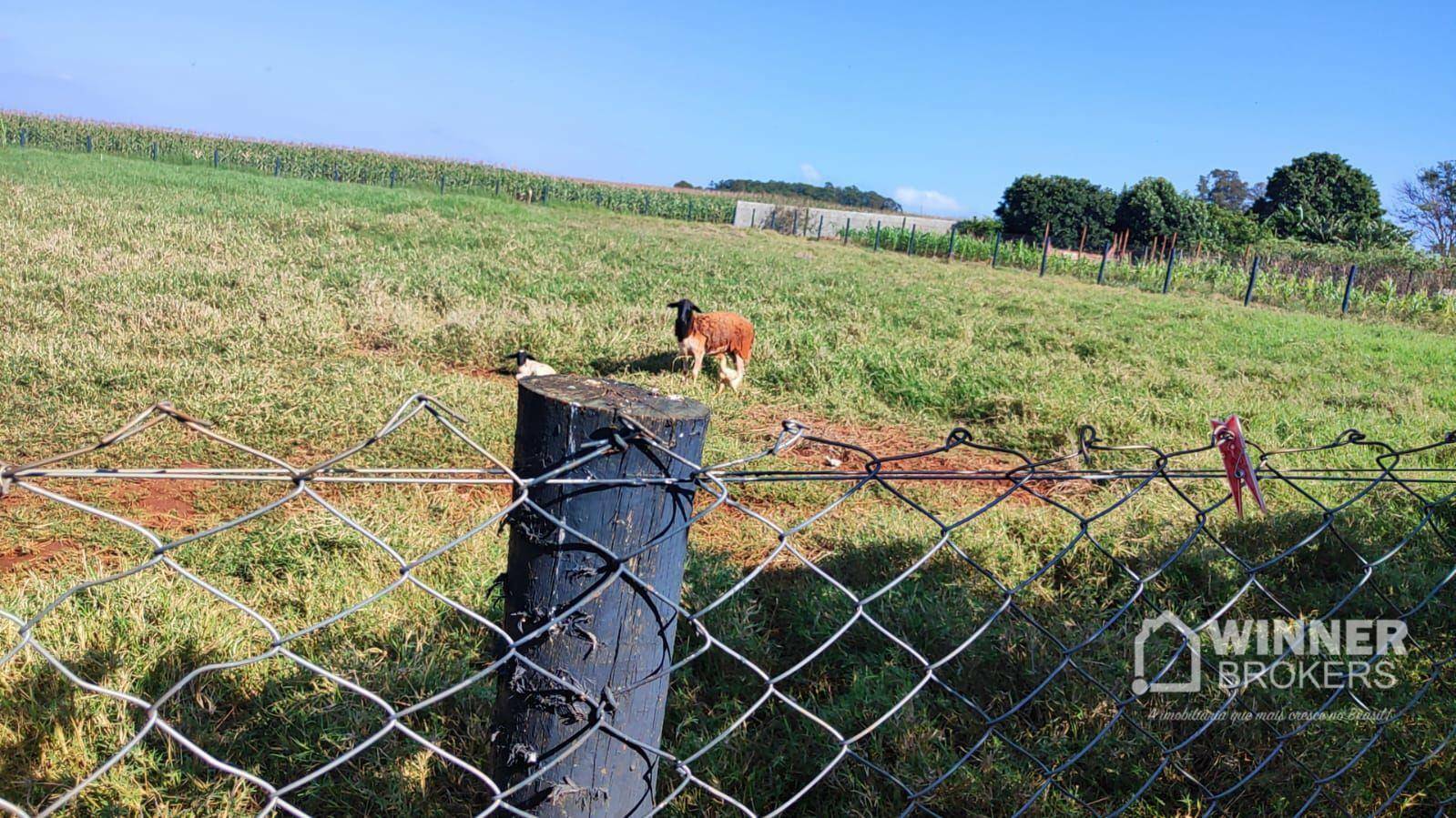 Terreno à venda, 2500M2 - Foto 5