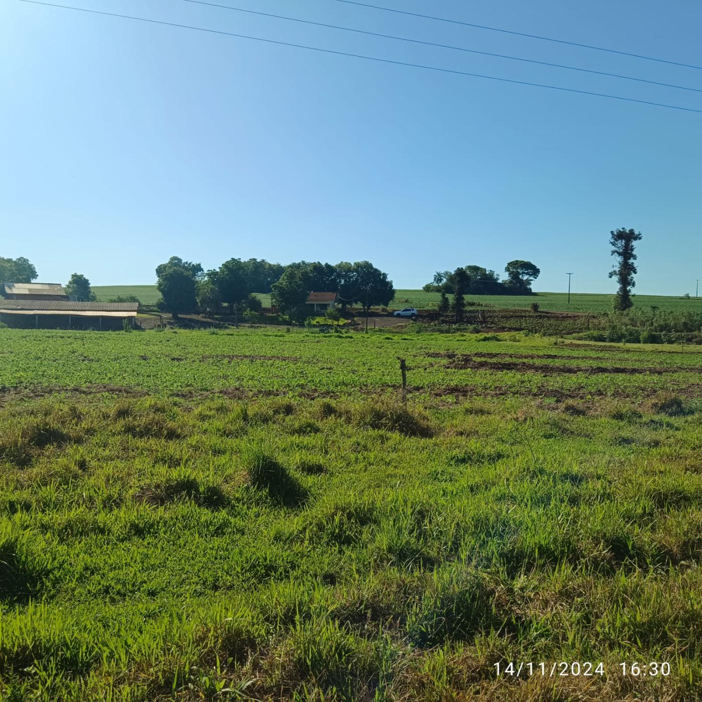 Fazenda à venda, 81160m² - Foto 28