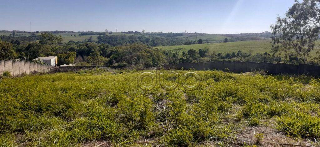 Terreno à venda, 2134M2 - Foto 3