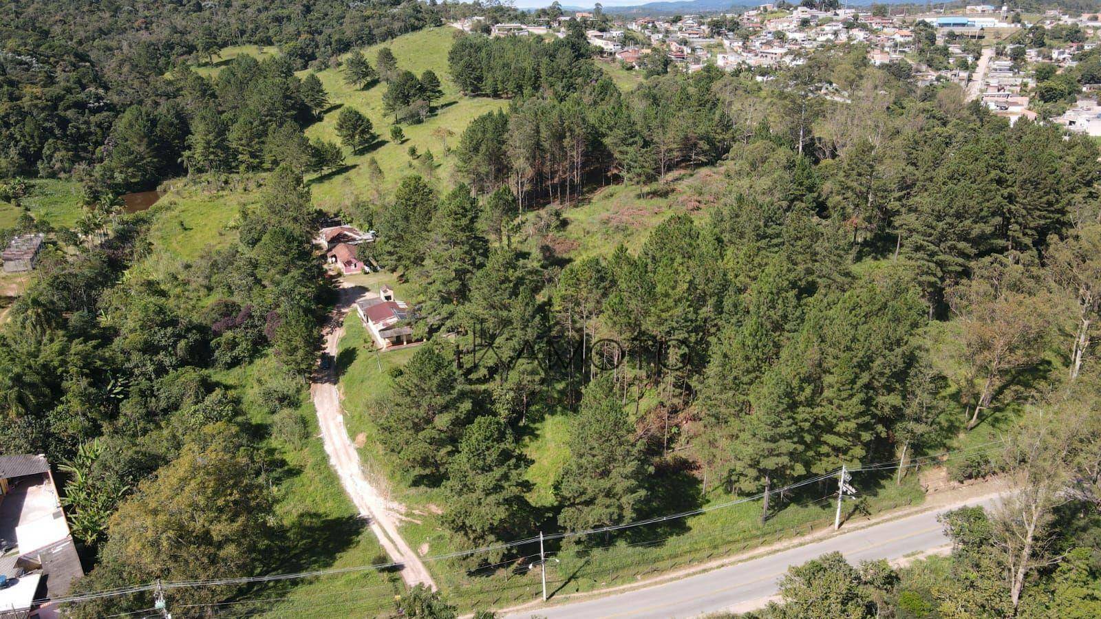 Terreno à venda, 145200M2 - Foto 3