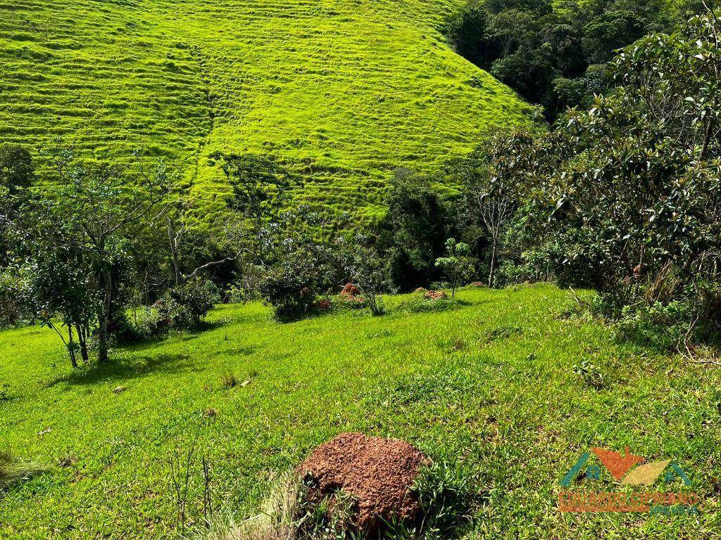 Chácara à venda, 1m² - Foto 3