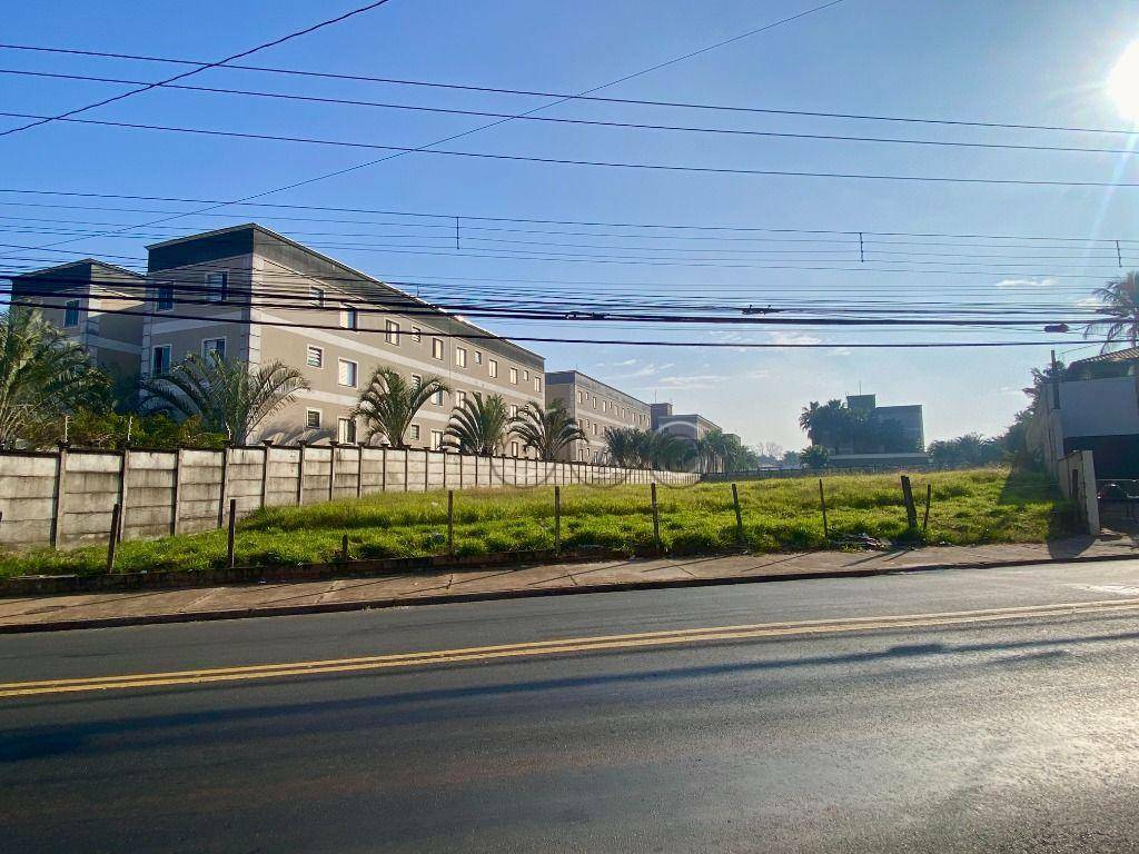 Terreno, 2859 m² - Foto 2