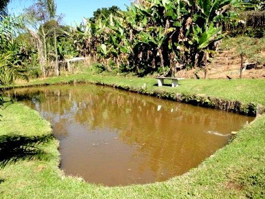 Fazenda à venda com 14 quartos, 3m² - Foto 5