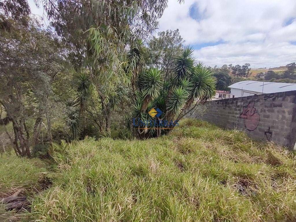 Terreno à venda, 4360M2 - Foto 14