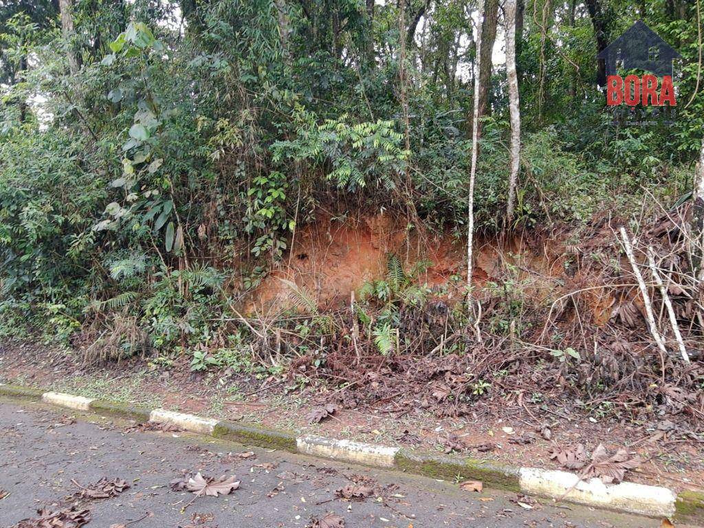 Loteamento e Condomínio à venda, 1250M2 - Foto 2