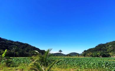 Fazenda à venda com 3 quartos, 160000m² - Foto 18