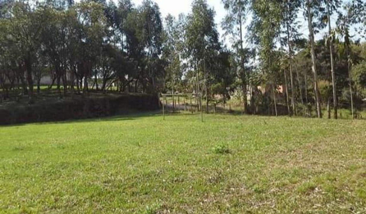 Fazenda à venda, 8291m² - Foto 12