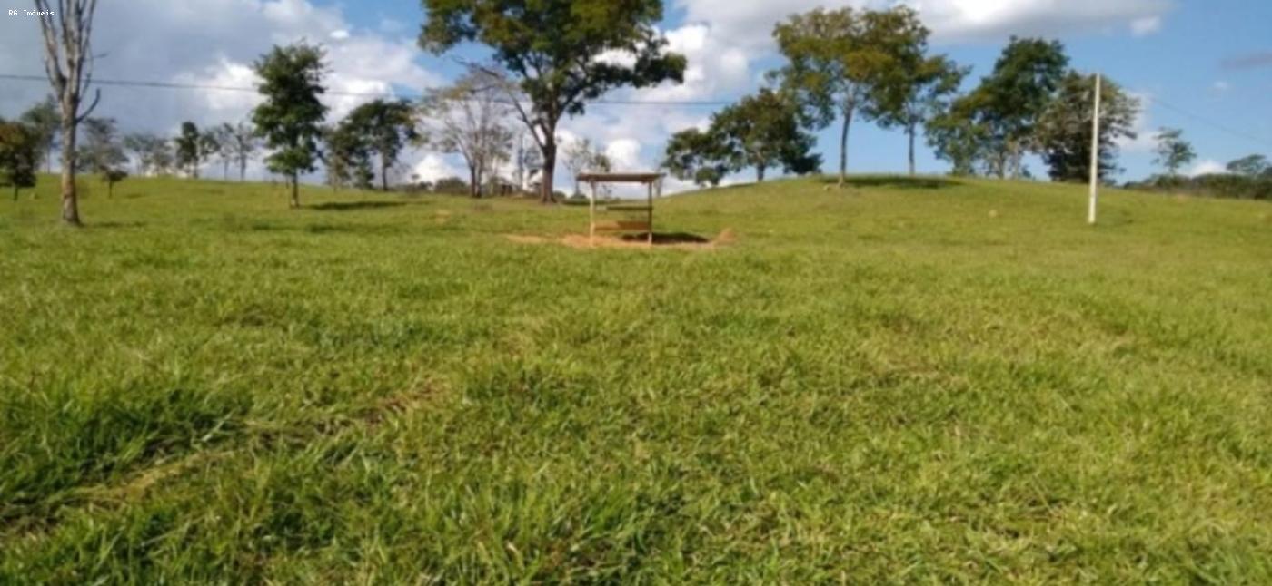 Fazenda à venda com 4 quartos, 2980000m² - Foto 5