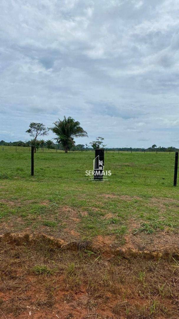 Fazenda à venda, 29800000M2 - Foto 2