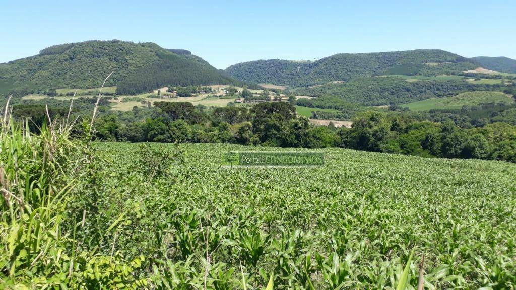 Terreno à venda, 82160M2 - Foto 7