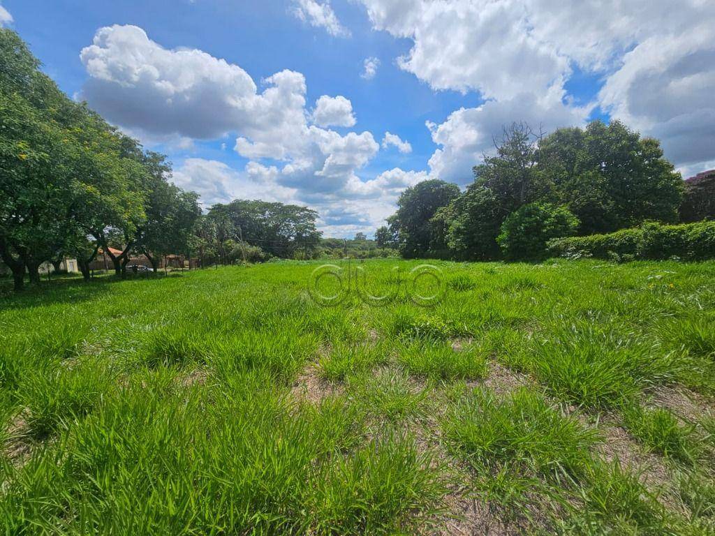 Terreno, 3245 m² - Foto 1