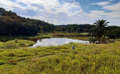 Fazenda à venda com 3 quartos, 110000m² - Foto 2