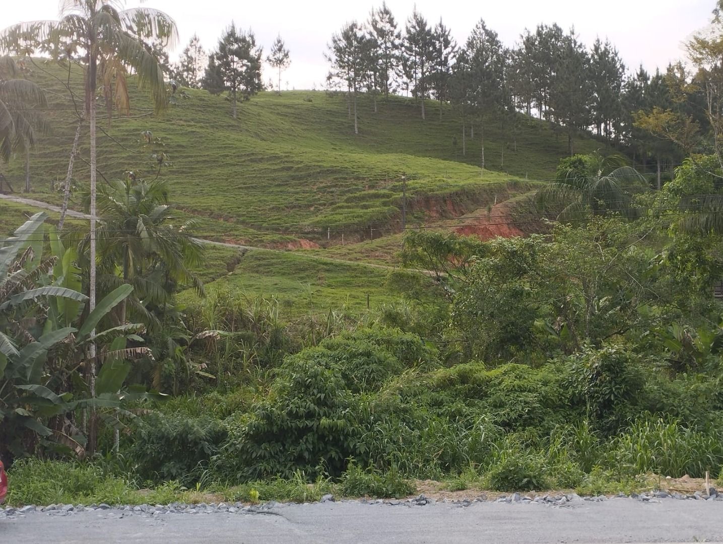 Terreno à venda, 216272M2 - Foto 3