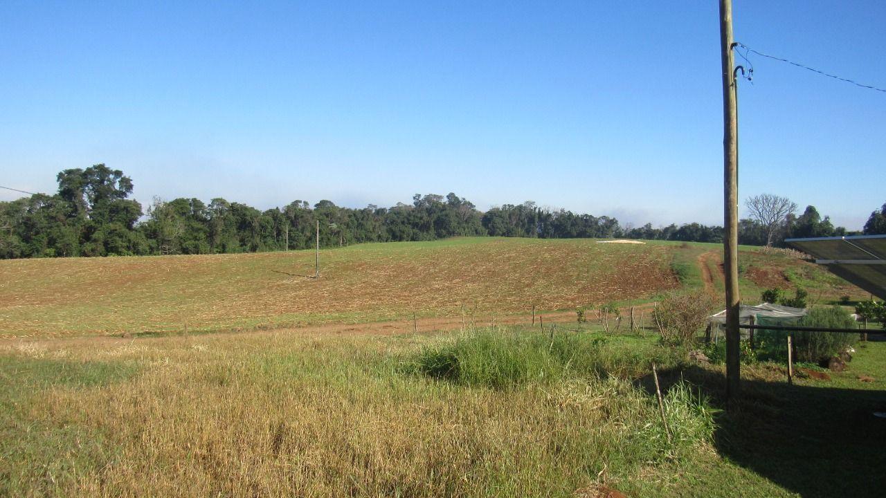 Terreno à venda, 18919m² - Foto 1