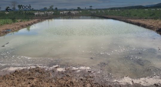 Fazenda à venda, 7300m² - Foto 4