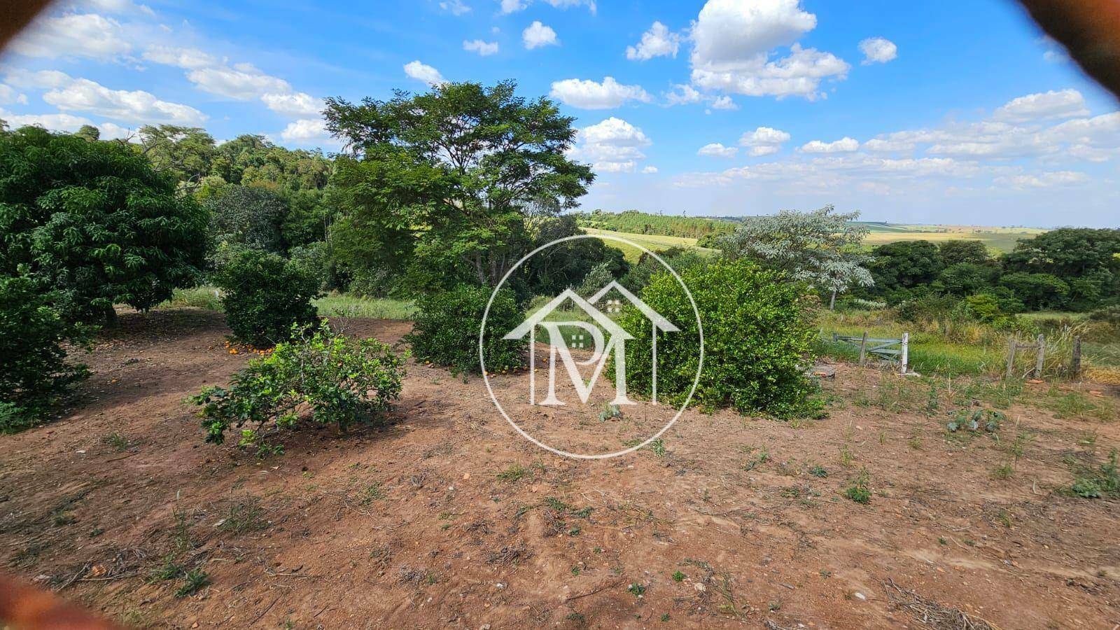 Haras e Área Rural Padrão à venda com 3 quartos, 242000M2 - Foto 23