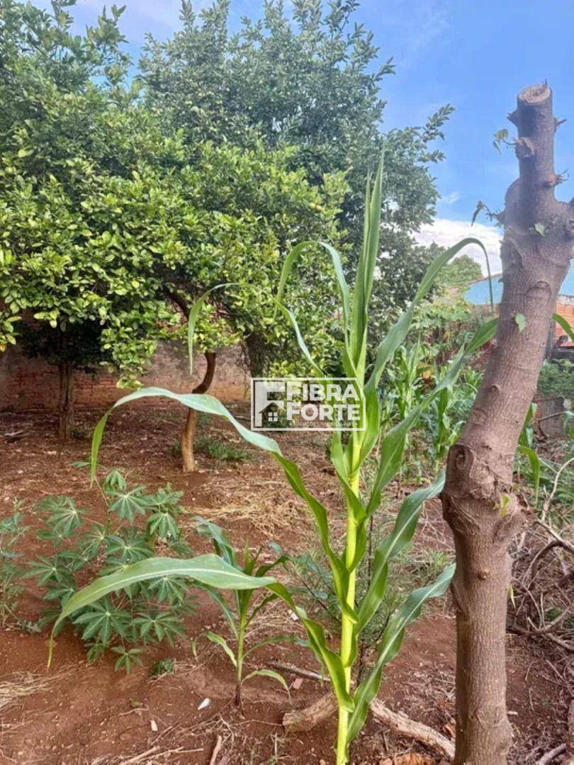 Terreno à venda, 400M2 - Foto 4