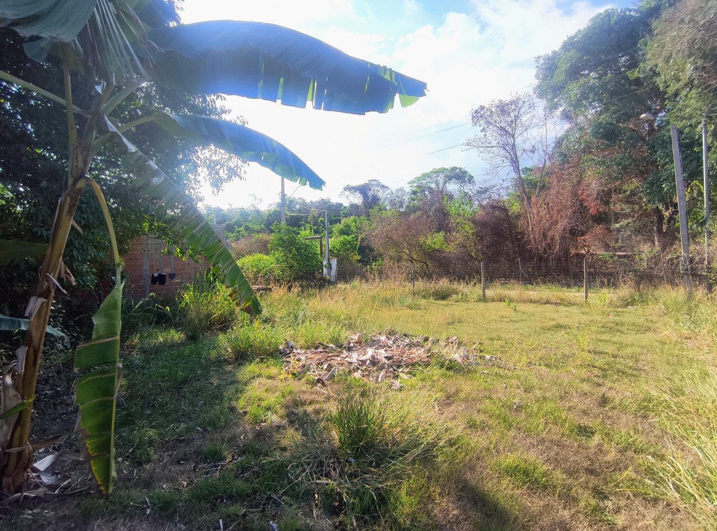 Terreno à venda, 238m² - Foto 3