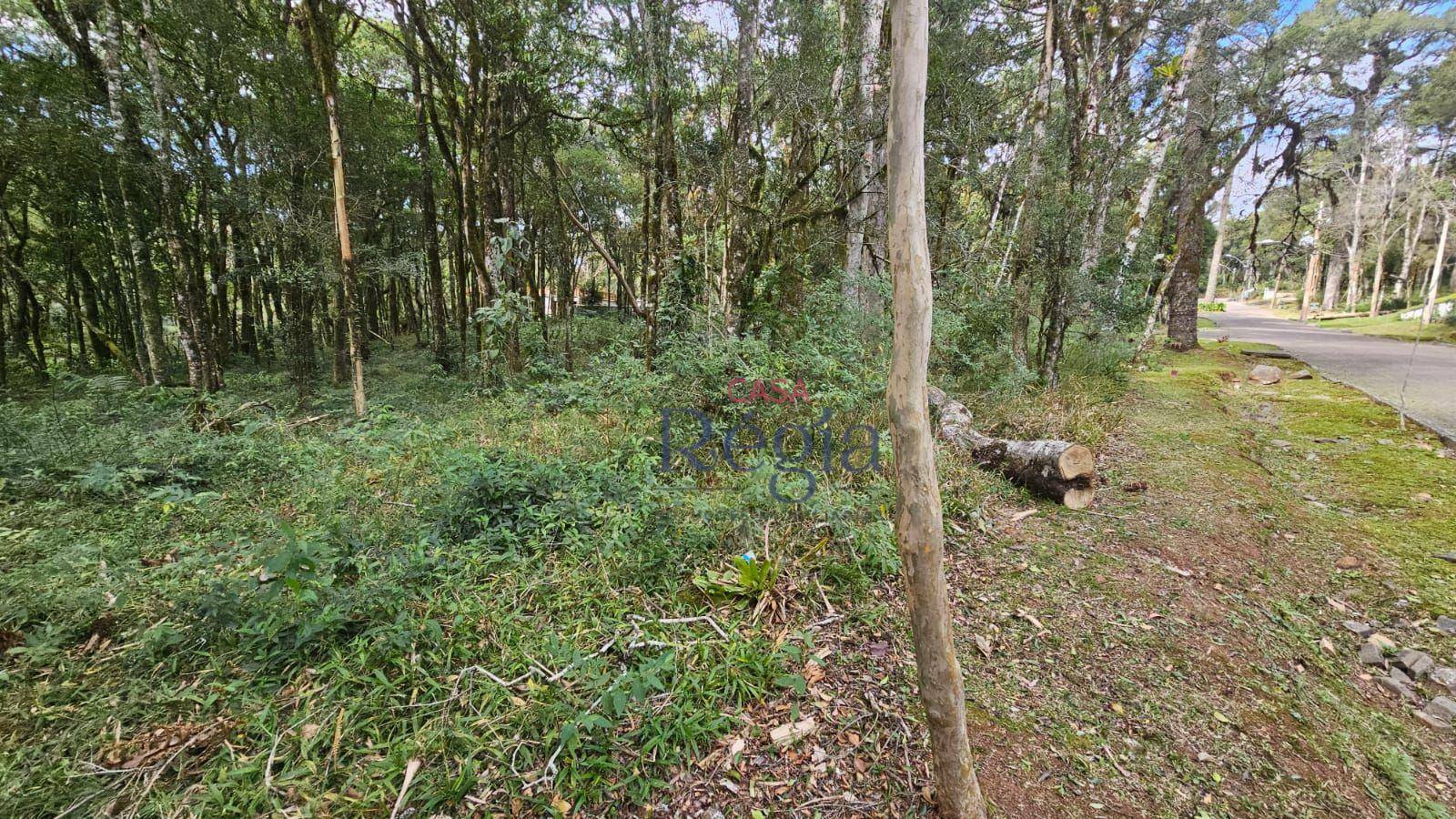 Loteamento e Condomínio à venda, 646M2 - Foto 8