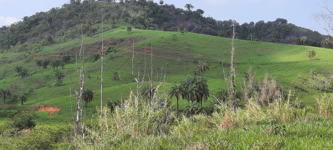 Fazenda à venda, 694m² - Foto 5