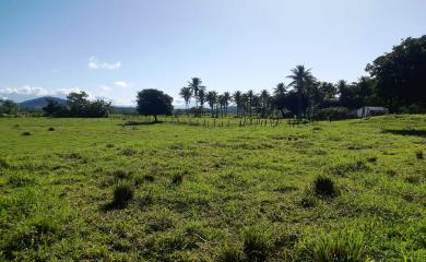 Fazenda à venda com 2 quartos, 96000m² - Foto 1