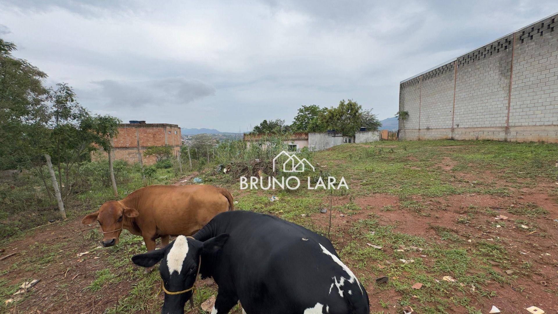 Terreno, 330 m² - Foto 7