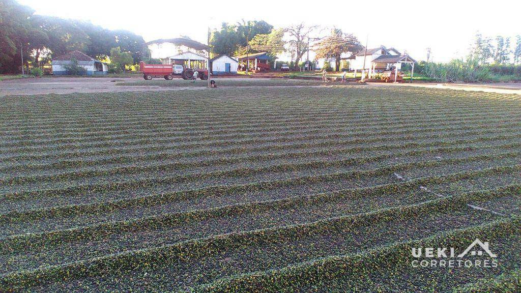 Fazenda à venda, 2420000M2 - Foto 15
