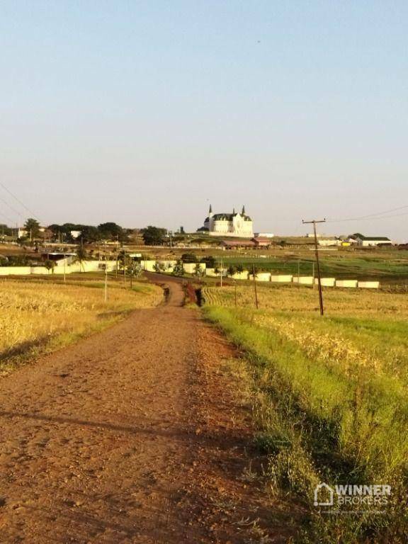 Chácara à venda com 1 quarto, 13600M2 - Foto 9