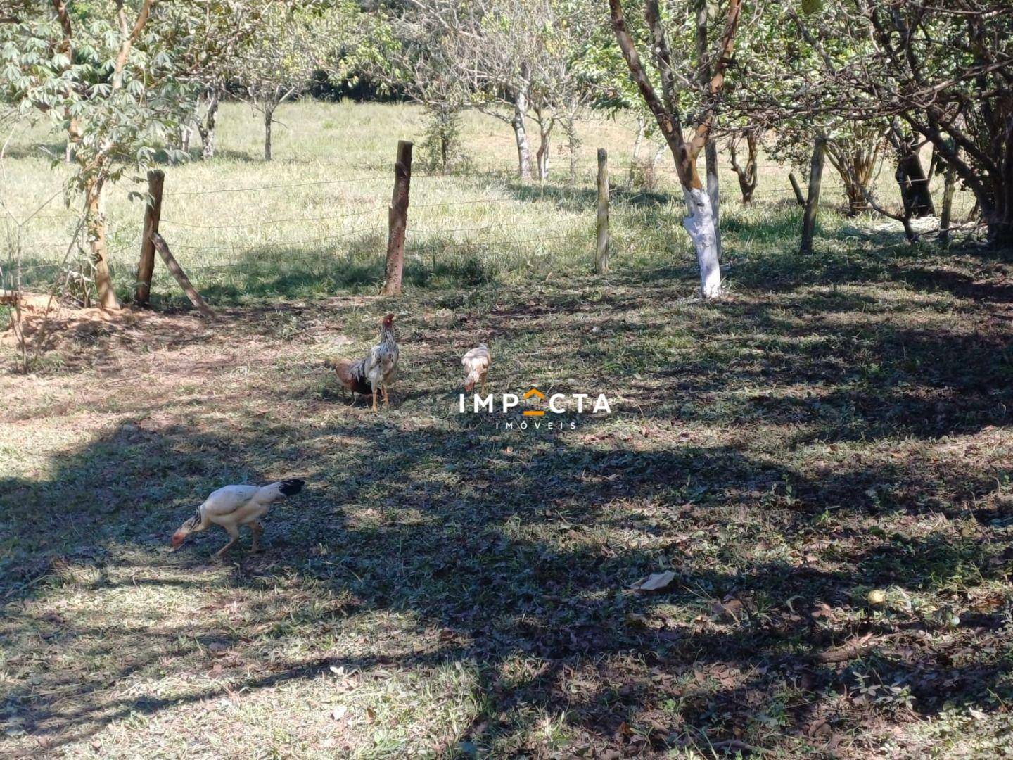 Chácara à venda com 2 quartos, 10500M2 - Foto 20