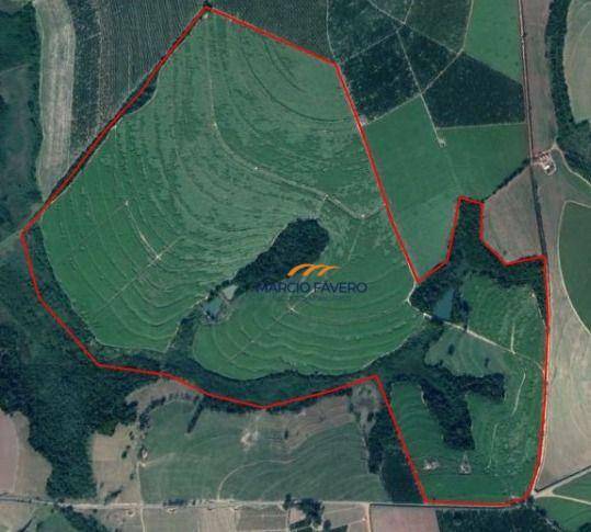 Fazenda, 213 hectares - Foto 4