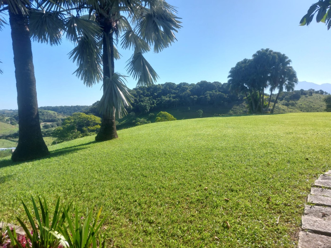 Fazenda à venda com 4 quartos, 34m² - Foto 20